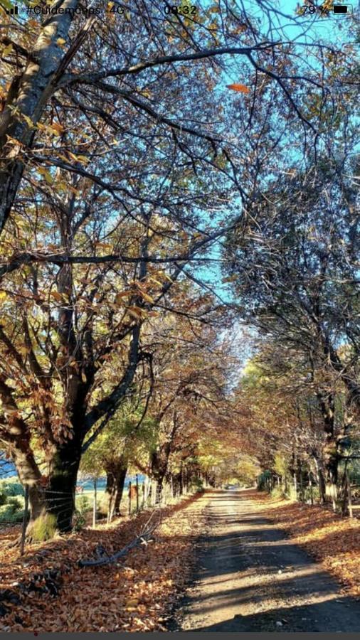 Chalé En Colbun, Sector Paso Nevado Talca (Maule)